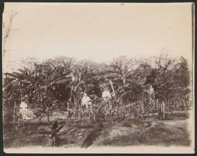 POWELL CREEK GARDEN PHOTO ISABLELLKELLAND 2 MEN