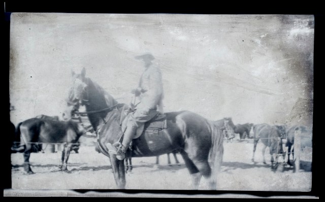 ca firth on horse negative