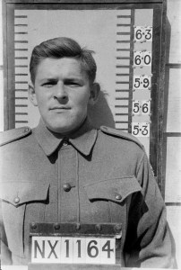 steilberg hi res best resize 2